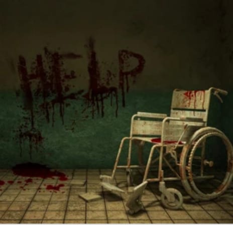 The Asylum at Escape Manor
