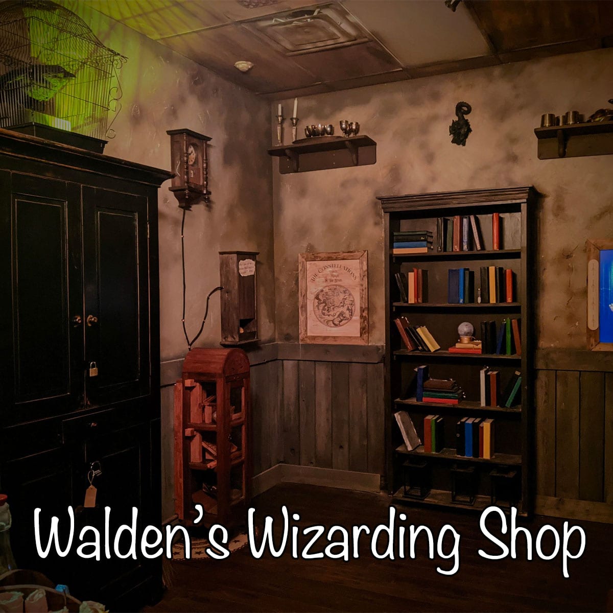 Walden’s Wizarding Shop at Looking Glass Adventures